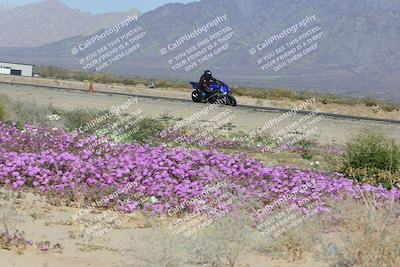 media/Feb-04-2023-SoCal Trackdays (Sat) [[8a776bf2c3]]/Turn 15 Inside Blooming (1050am)/